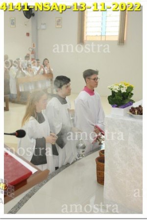 4141-NSAp-13-11-2022