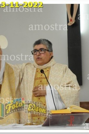 4142-NSAp-13-11-2022