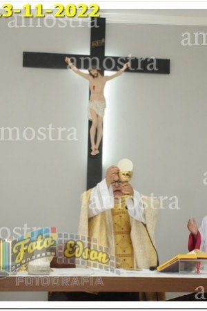 4146-NSAp-13-11-2022