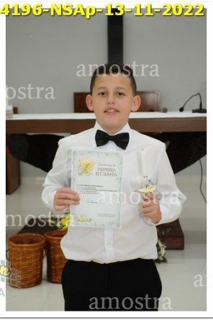 4196-NSAp-13-11-2022