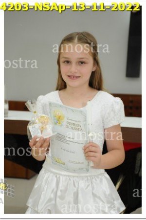 4203-NSAp-13-11-2022