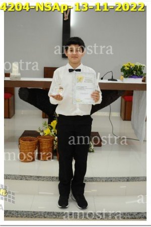 4204-NSAp-13-11-2022