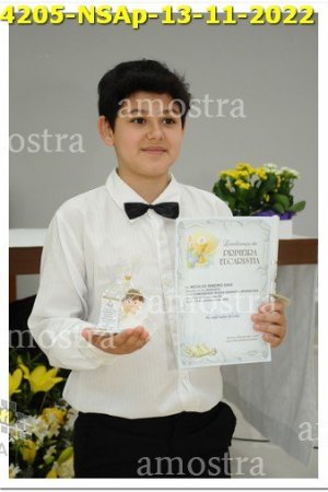 4205-NSAp-13-11-2022