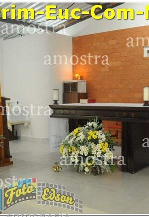06784-Prim-Euc-Com-NSAp-19-05-2024