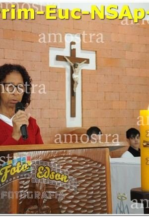 02320-Prim-Euc-NSAp-01-06-2025