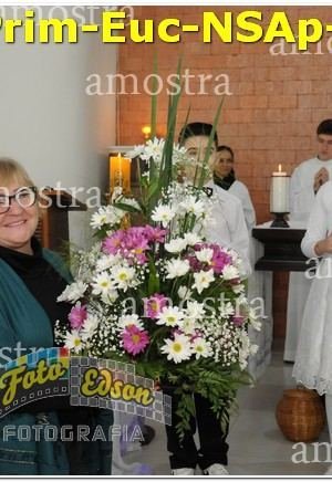 02375-Prim-Euc-NSAp-01-06-2025