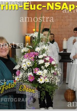 02375-Prim-Euc-NSAp-01-06-2025