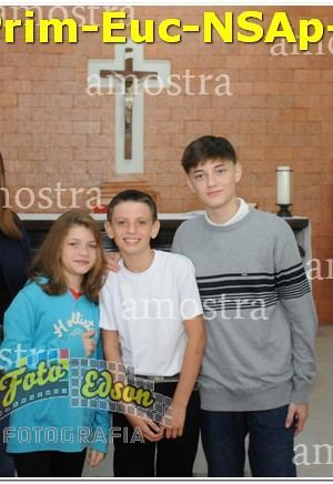 02399-Prim-Euc-NSAp-01-06-2025