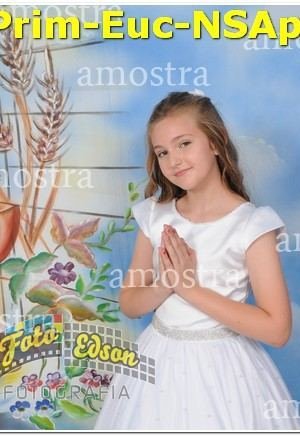 22215-Prim-Euc-NSAp-10-11-2024