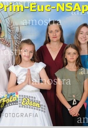 22217-Prim-Euc-NSAp-10-11-2024