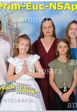 22217-Prim-Euc-NSAp-10-11-2024