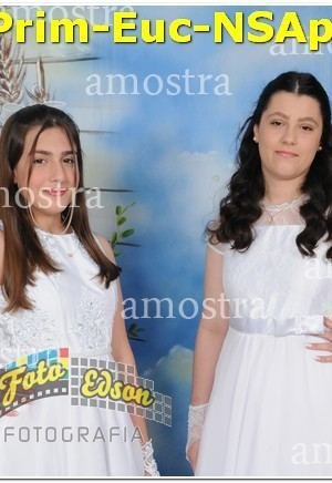 22225-Prim-Euc-NSAp-10-11-2024