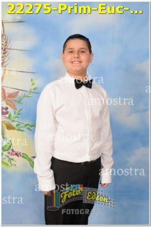 22275-Prim-Euc-NSAp-10-11-2024