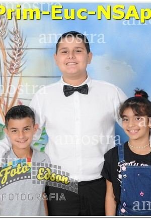 22286-Prim-Euc-NSAp-10-11-2024