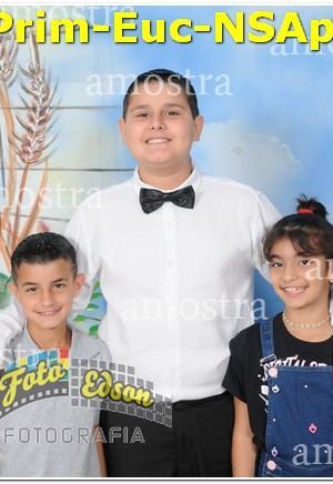 22286-Prim-Euc-NSAp-10-11-2024