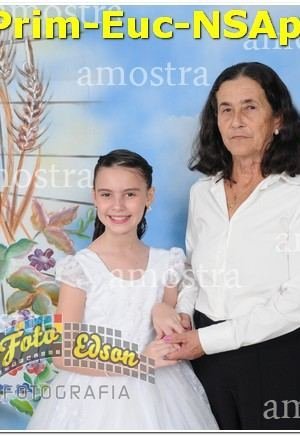 22313-Prim-Euc-NSAp-10-11-2024