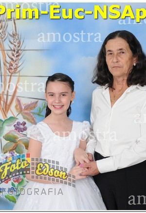 22313-Prim-Euc-NSAp-10-11-2024