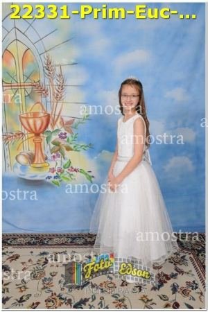 22331-Prim-Euc-NSAp-10-11-2024