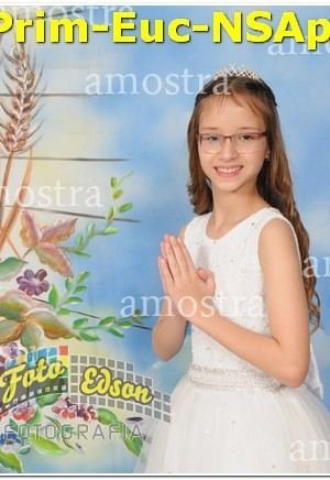 22333-Prim-Euc-NSAp-10-11-2024