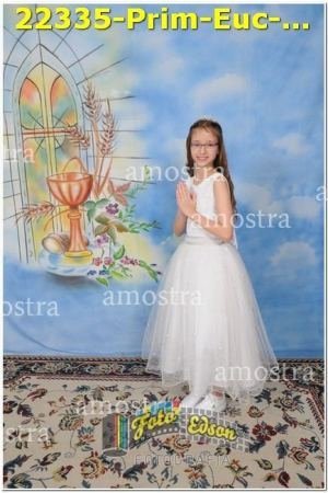 22335-Prim-Euc-NSAp-10-11-2024