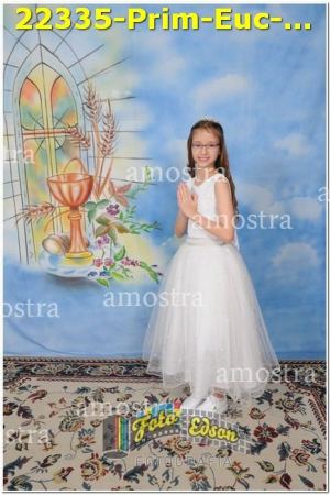 22335-Prim-Euc-NSAp-10-11-2024