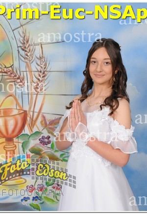 22380-Prim-Euc-NSAp-10-11-2024