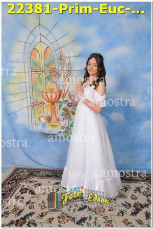 22381-Prim-Euc-NSAp-10-11-2024