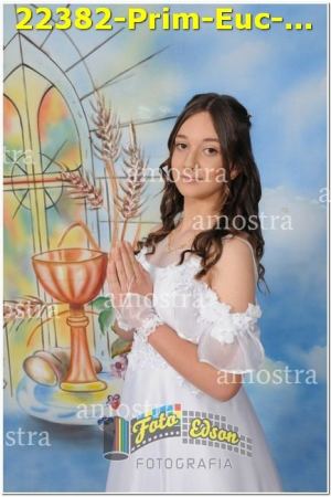 22382-Prim-Euc-NSAp-10-11-2024