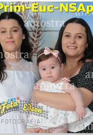 22384-Prim-Euc-NSAp-10-11-2024