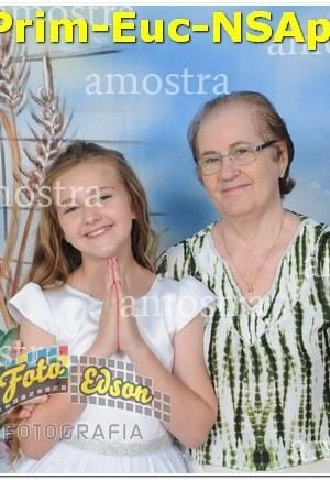 22423-Prim-Euc-NSAp-10-11-2024