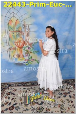 22443-Prim-Euc-NSAp-10-11-2024