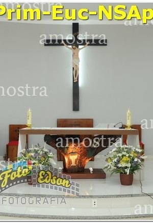 22450-Prim-Euc-NSAp-10-11-2024