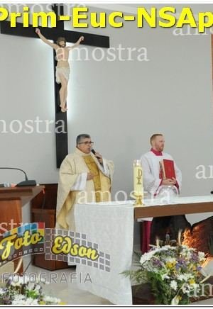 22485-Prim-Euc-NSAp-10-11-2024