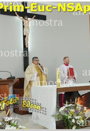22485-Prim-Euc-NSAp-10-11-2024