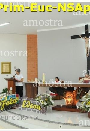22489-Prim-Euc-NSAp-10-11-2024