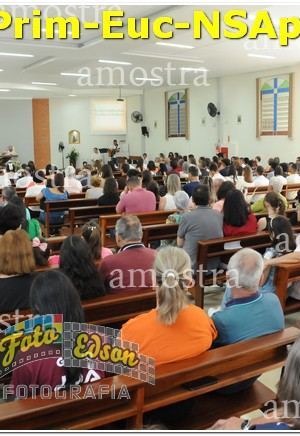 22496-Prim-Euc-NSAp-10-11-2024