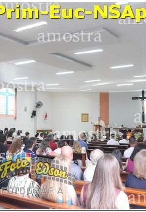 22501-Prim-Euc-NSAp-10-11-2024