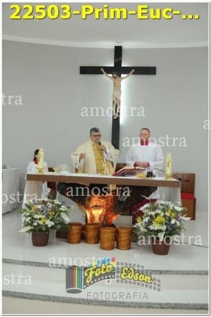 22503-Prim-Euc-NSAp-10-11-2024