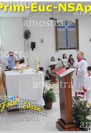 22515-Prim-Euc-NSAp-10-11-2024