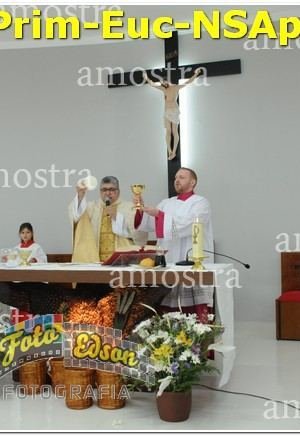 22519-Prim-Euc-NSAp-10-11-2024