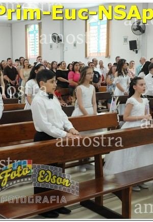 22521-Prim-Euc-NSAp-10-11-2024