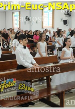 22521-Prim-Euc-NSAp-10-11-2024