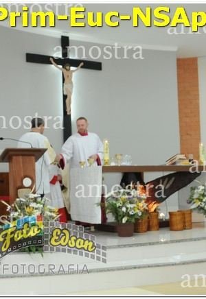 22544-Prim-Euc-NSAp-10-11-2024