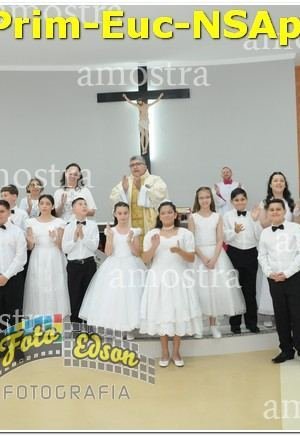 22563-Prim-Euc-NSAp-10-11-2024