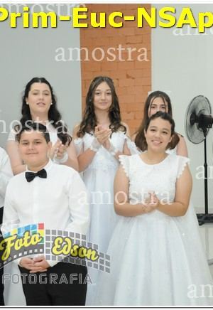 22565-Prim-Euc-NSAp-10-11-2024