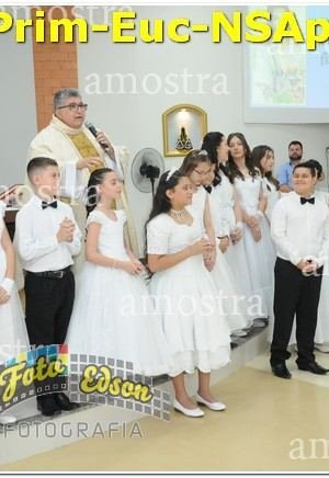 22573-Prim-Euc-NSAp-10-11-2024