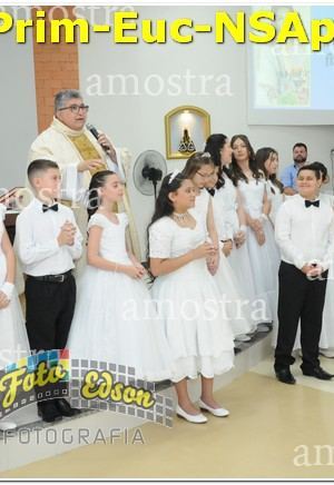 22573-Prim-Euc-NSAp-10-11-2024