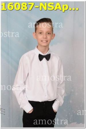 16087-NSAp-19-11-2023