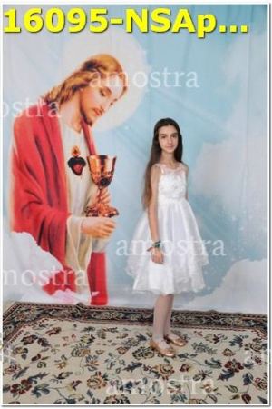 16095-NSAp-19-11-2023