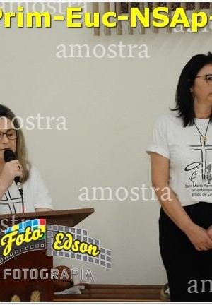 24453-Prim-Euc-NSAp-23-11-2025